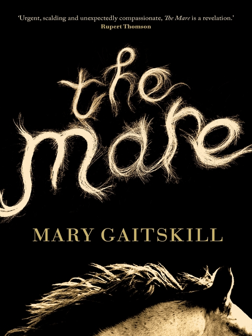 Title details for The Mare by Mary Gaitskill - Wait list